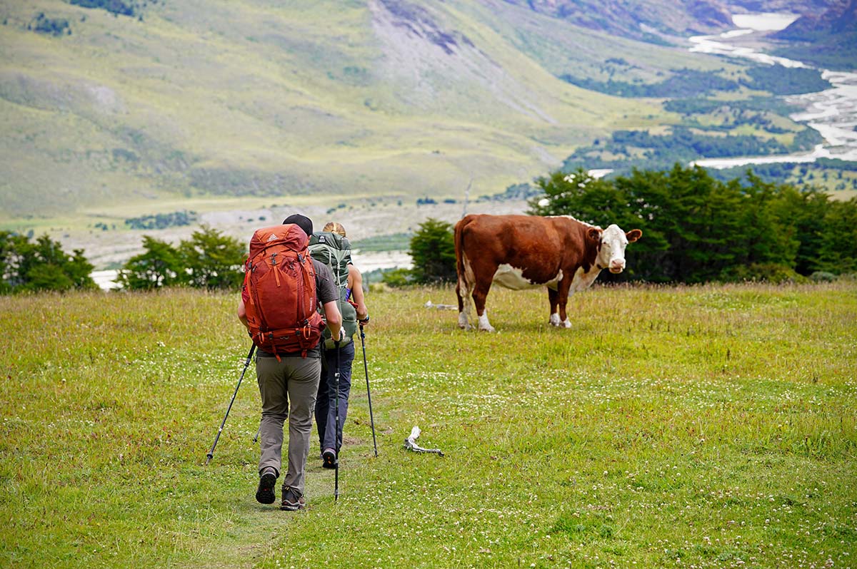 Backpacking Checklist (trekking poles)